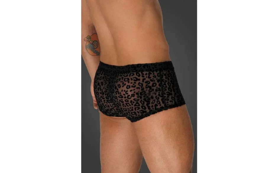 Leopard Flock Short Shorts