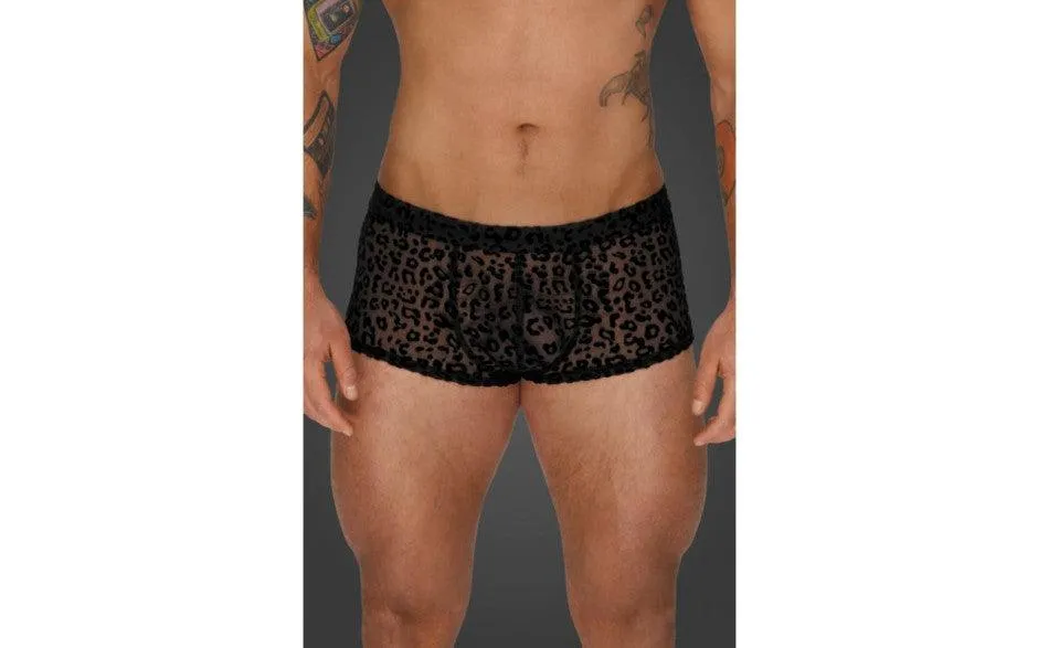 Leopard Flock Short Shorts