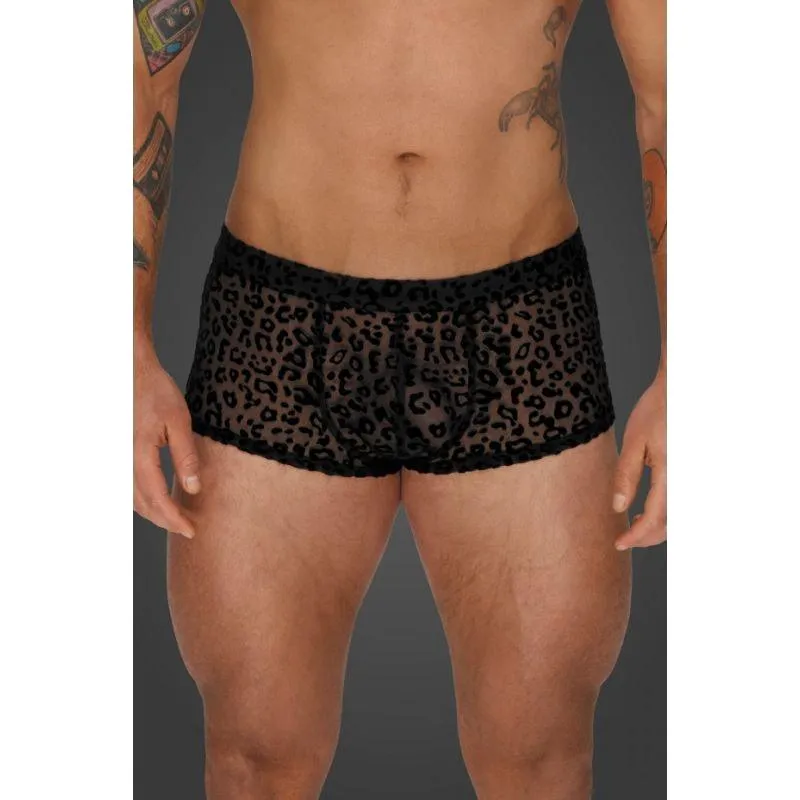 Leopard Flock Short Shorts