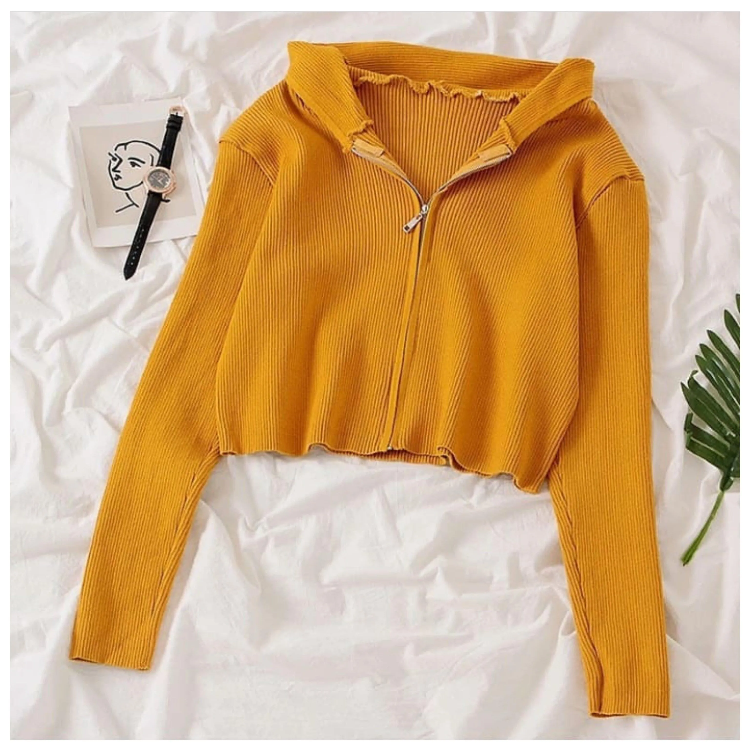 Tolio Cropped Hoodie